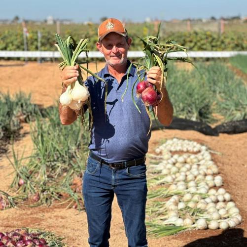 Produtores de hortaliças participam de excursão em busca de novas tecnologias