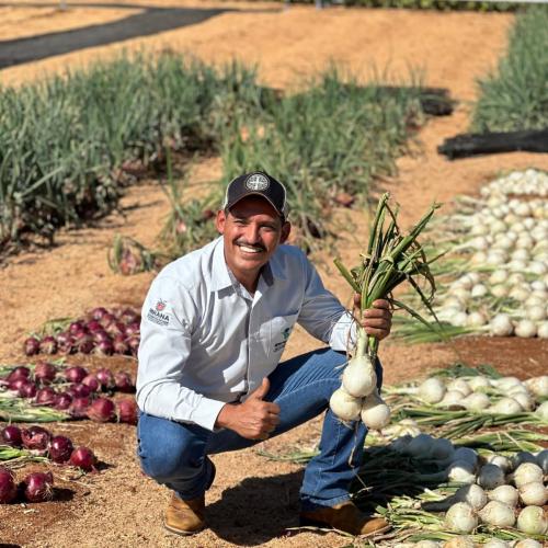 Produtores de hortaliças participam de excursão em busca de novas tecnologias