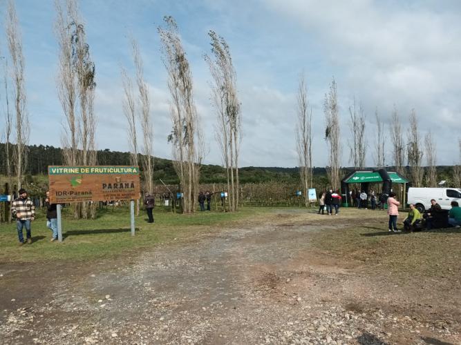 Evento de fruticultura na Lapa reúne mais de 600 participantes