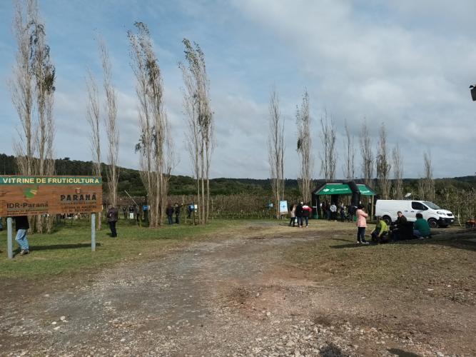 Evento de fruticultura na Lapa reúne mais de 600 participantes