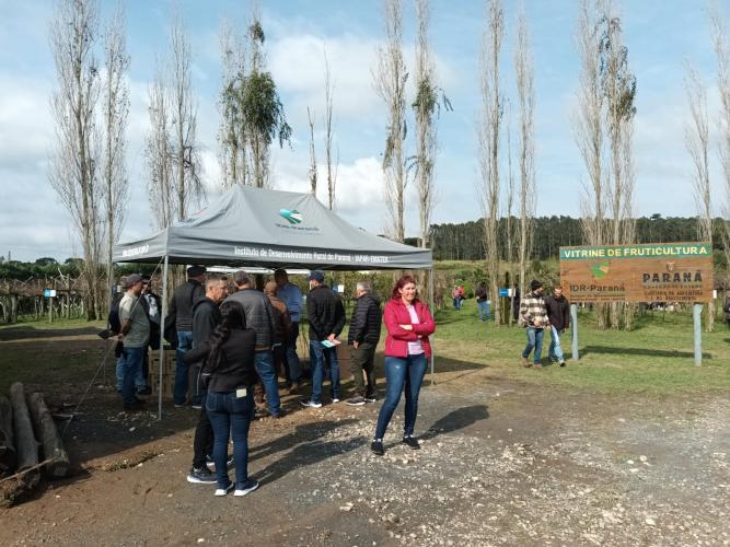 Evento de fruticultura na Lapa reúne mais de 600 participantes