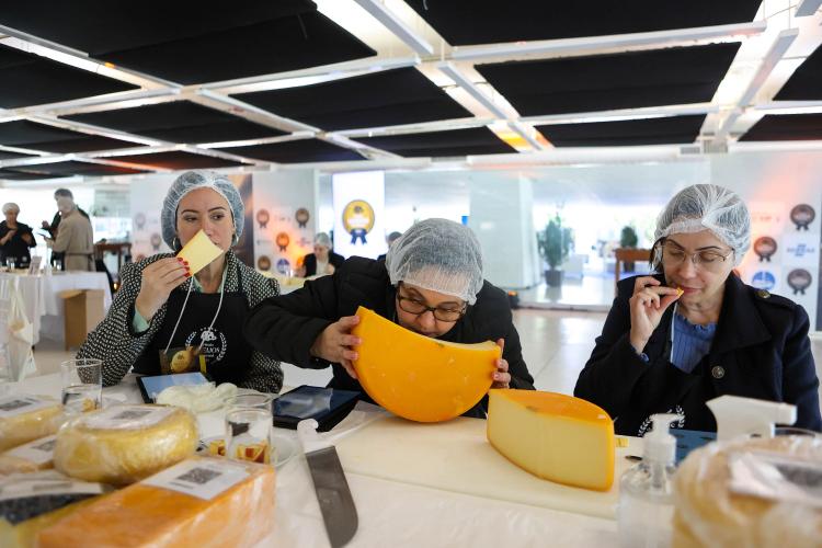 Segunda edição do Prêmio Queijos do Paraná abre inscrições em setembro