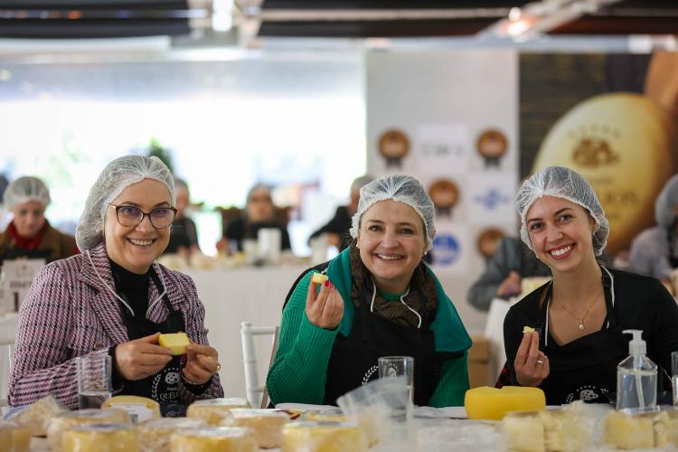 Segunda edição do Prêmio Queijos do Paraná abre inscrições em setembro