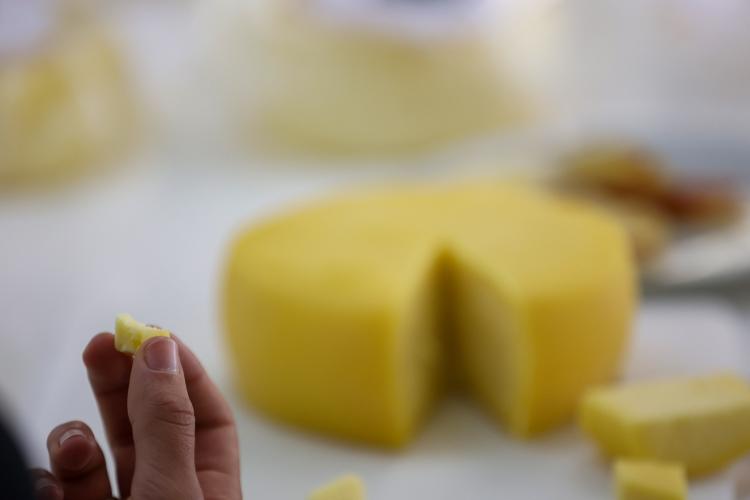 Segunda edição do Prêmio Queijos do Paraná abre inscrições em setembro