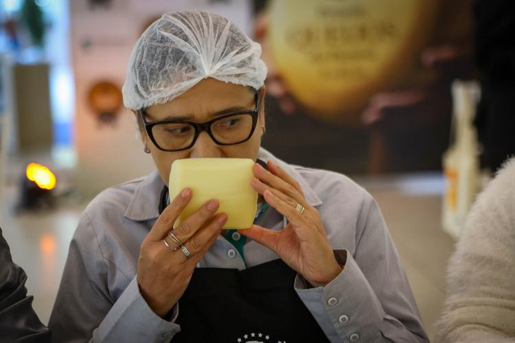 Segunda edição do Prêmio Queijos do Paraná abre inscrições em setembro