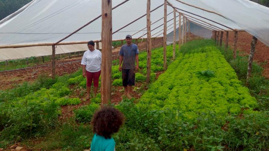 agricultura familiar