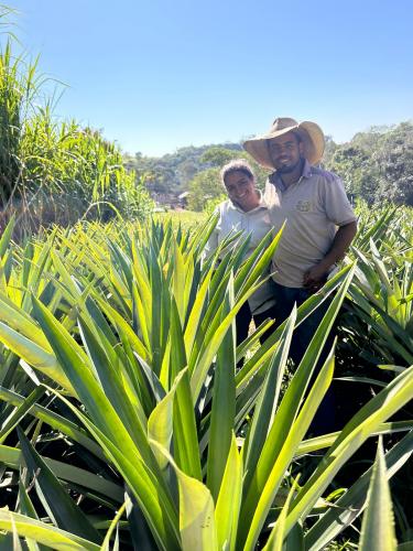 agricultura familiar
