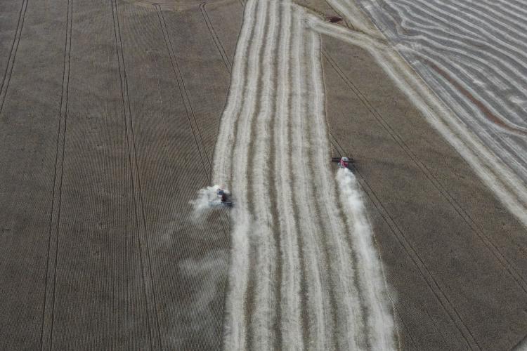 35 cidades do Paraná têm Valor Bruto da Produção Agropecuária superior a R$ 1 bilhão