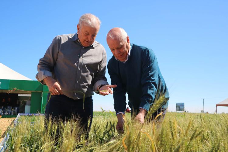 No Show Rural de Inverno, Estado reforça promoção de ações sustentáveis no campo