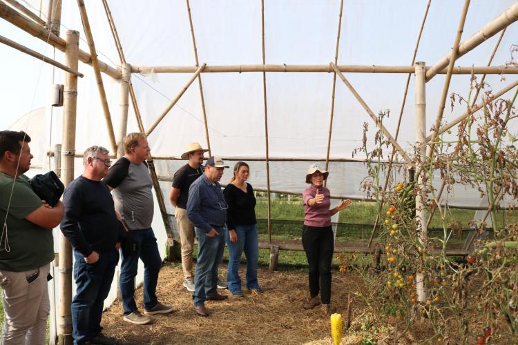 Certificação orgânica é tema de capacitação  para professores de colégios agrícolas