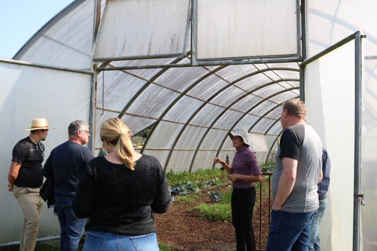 Certificação orgânica é tema de capacitação  para professores de colégios agrícolas
