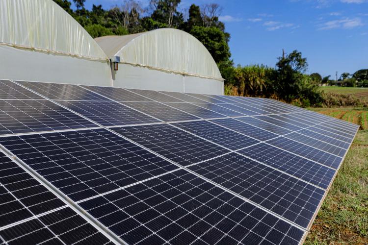 Transformação energética nos hidropônicos: energia solar reduz conta de produtor em 85%