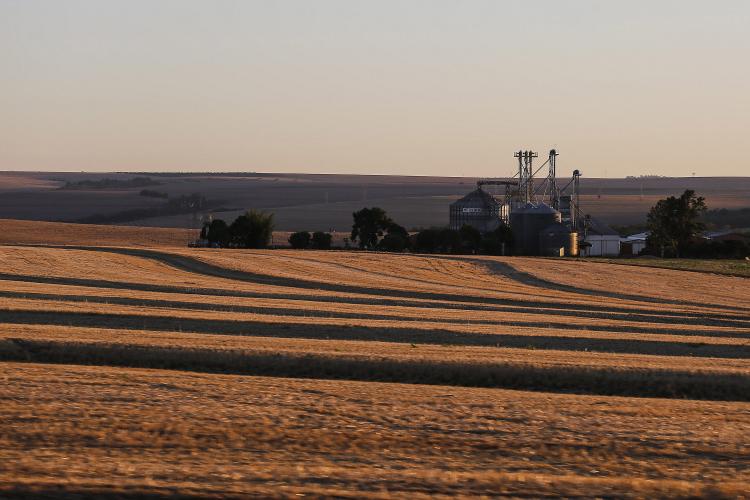 35 cidades do Paraná têm Valor Bruto da Produção Agropecuária superior a R$ 1 bilhão