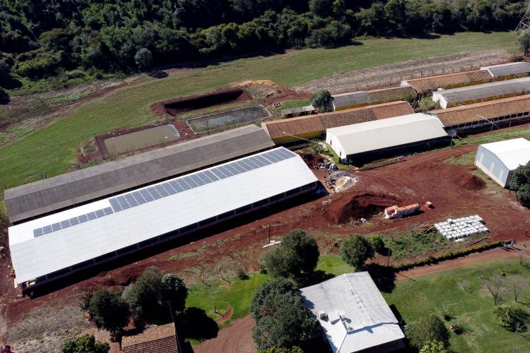 VBP 2023: confira as cidades campeãs de 22 culturas do agronegócio paranaense