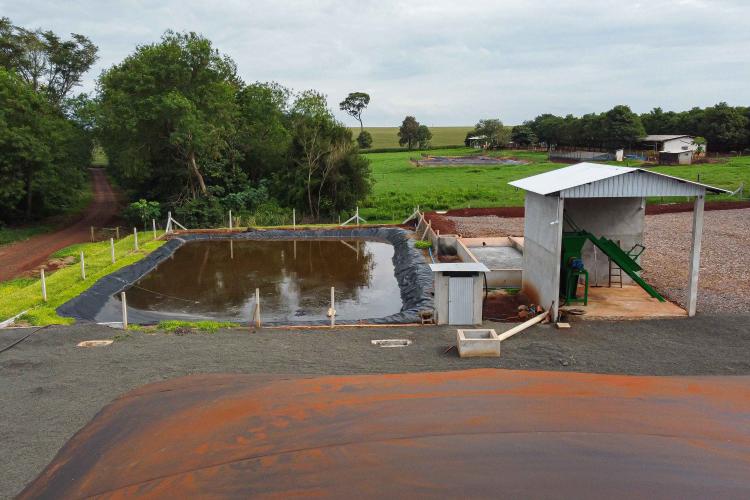 Vizinhos compartilham biodigestor para produzir energia limpa da suinocultura