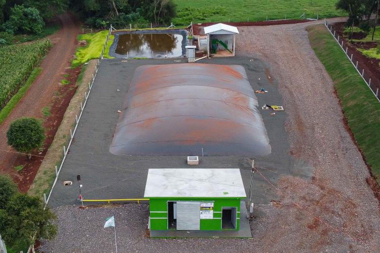 Vizinhos compartilham biodigestor para produzir energia limpa da suinocultura