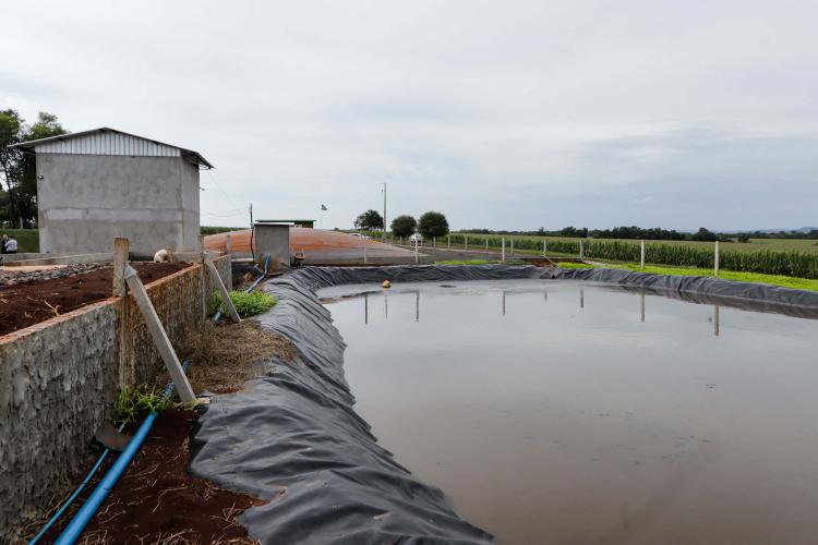 Vizinhos compartilham biodigestor para produzir energia limpa da suinocultura
