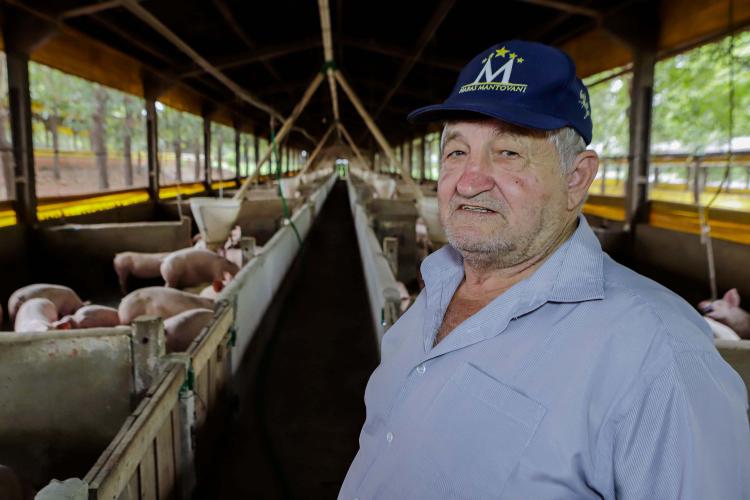 Vizinhos compartilham biodigestor para produzir energia limpa da suinocultura