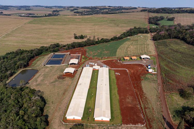 Com apoio do Estado, suinocultor instala biodigestor para produzir sustentavelmente