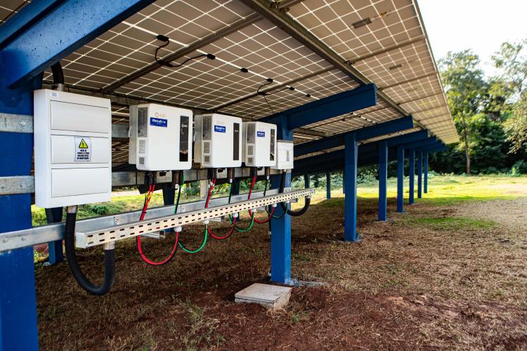 RenovaPR: com energia solar, família de piscicultores reduz custo e aumenta produção