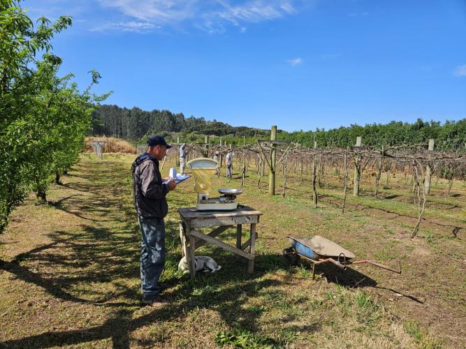 IDR-Paraná recebe Selo Nacional de Responsabilidade Social Pelo Trabalho Prisional