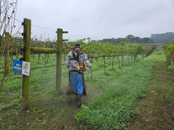 IDR-Paraná recebe Selo Nacional de Responsabilidade Social Pelo Trabalho Prisional