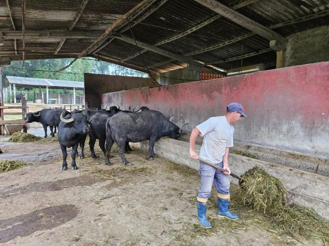 IDR-Paraná recebe Selo Nacional de Responsabilidade Social Pelo Trabalho Prisional