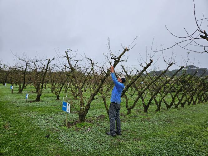 IDR-Paraná recebe Selo Nacional de Responsabilidade Social Pelo Trabalho Prisional