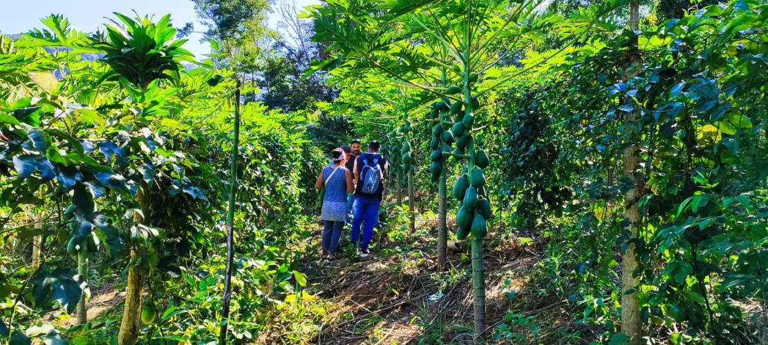 IDR-Paraná dá assistência a quilombolas em Adrianópolis