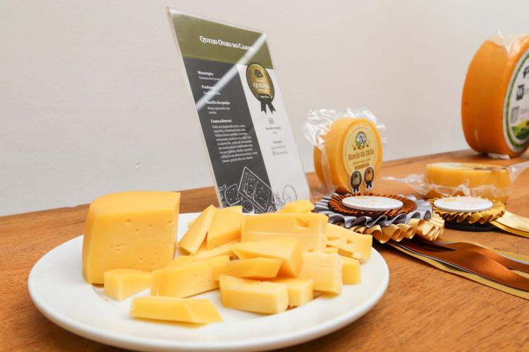 Com novidades e apoio do Estado, Prêmio Queijos do Paraná lança segunda edição