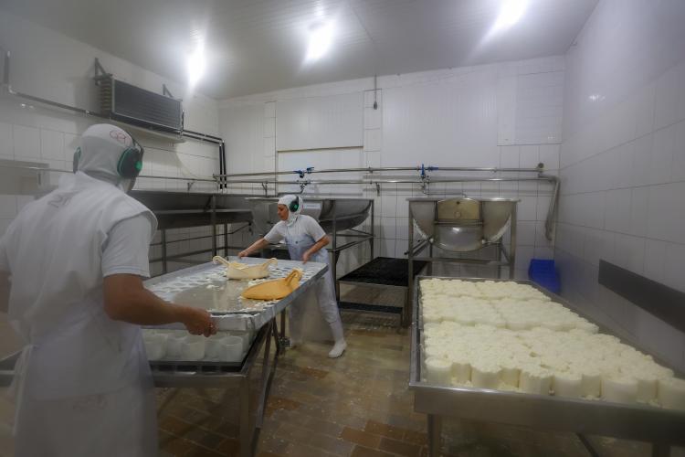 Industrialização e tecnologia no campo impulsionam a cadeia do leite no Paraná