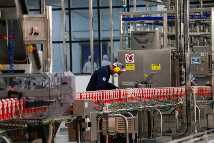 Industrialização e tecnologia no campo impulsionam a cadeia do leite no Paraná