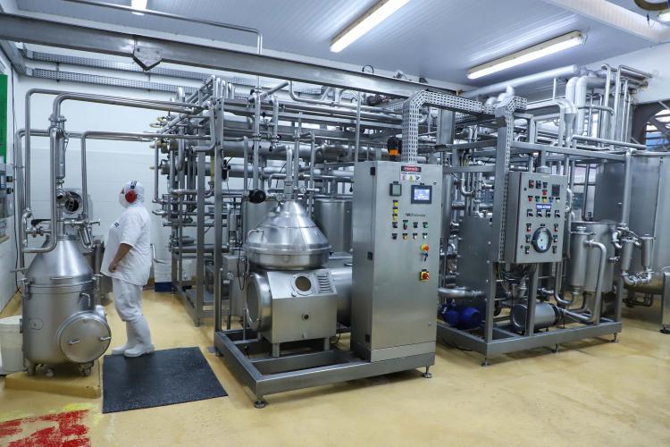 Industrialização e tecnologia no campo impulsionam a cadeia do leite no Paraná