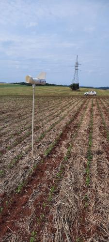Alerta Ferrugem já está monitorando a  ferrugem-asiática nas lavouras de soja do Paraná