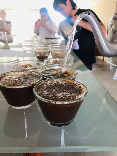 Mulheres do Café: Cupping e Leilão impulsionam cafés especiais no Norte do Paraná