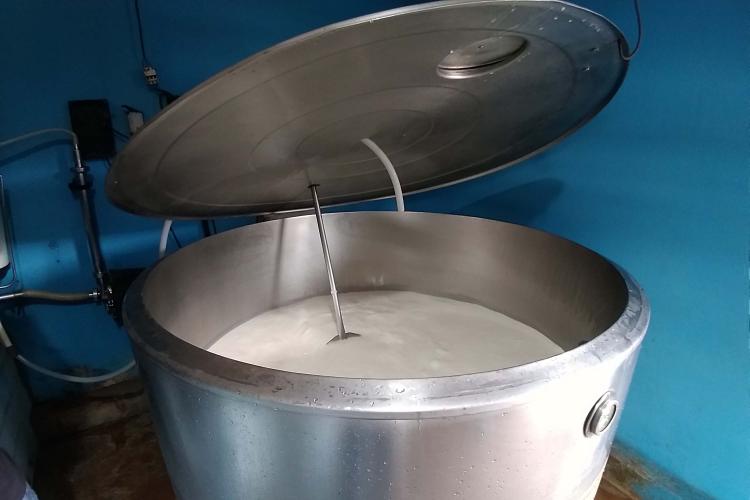 Paraná lidera mercado de frangos no 3º trimestre; cresce a produção de leite, ovos e suínos