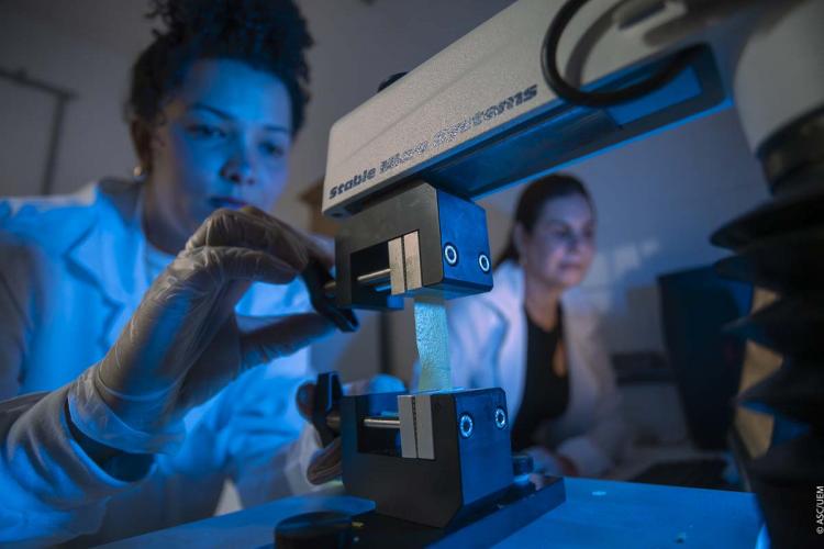 Pesquisadora da UEM transforma macaúba em embalagens biodegradáveis