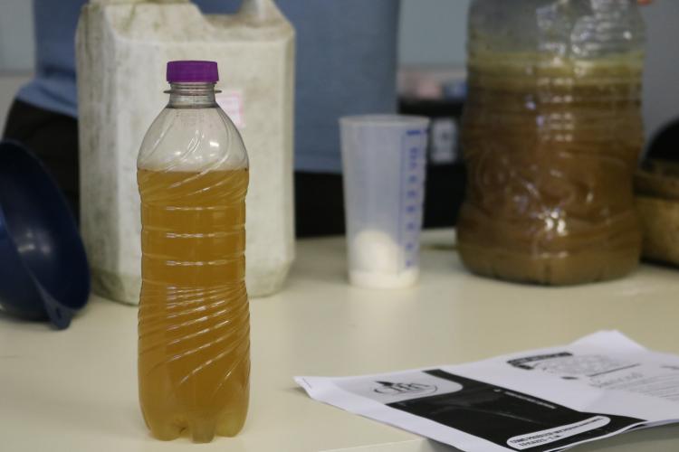 Jornada de Agroecologia