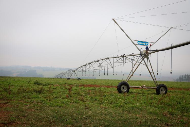 Decreto estabelece formas para agricultores acessarem subvenção do Irriga Paraná