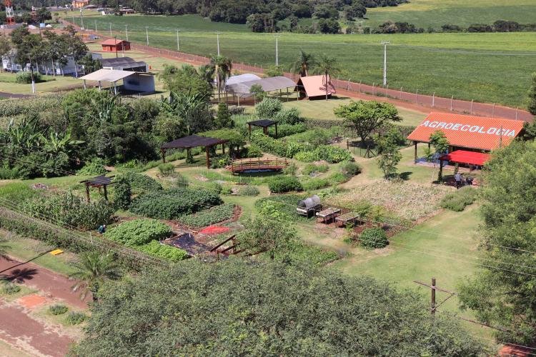 IDR-Paraná mostra novidades na Vitrine  Tecnológica de Agroecologia no Show Rural