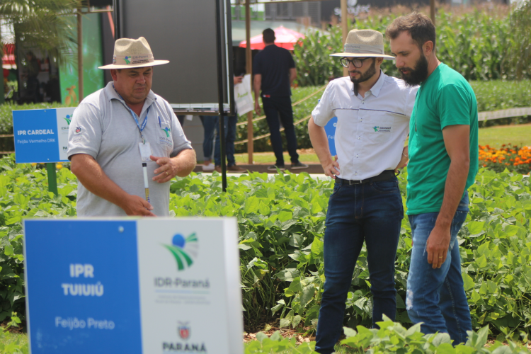 IDR-Paraná no Show Rual Coopavel 2025