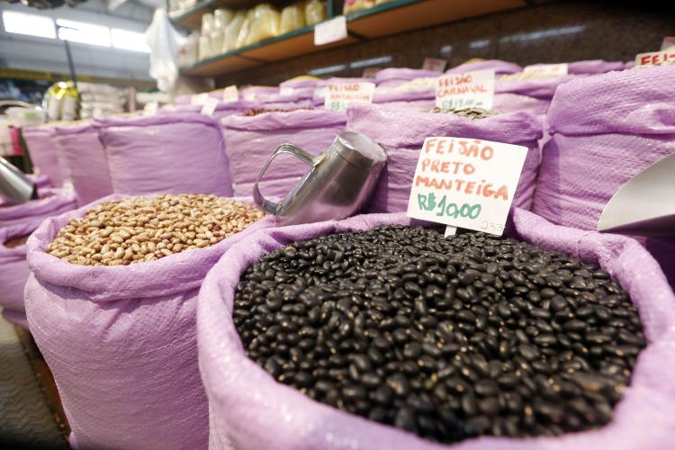 Paraná lidera produção e importação de feijão, e começa a expandir exportação do produto