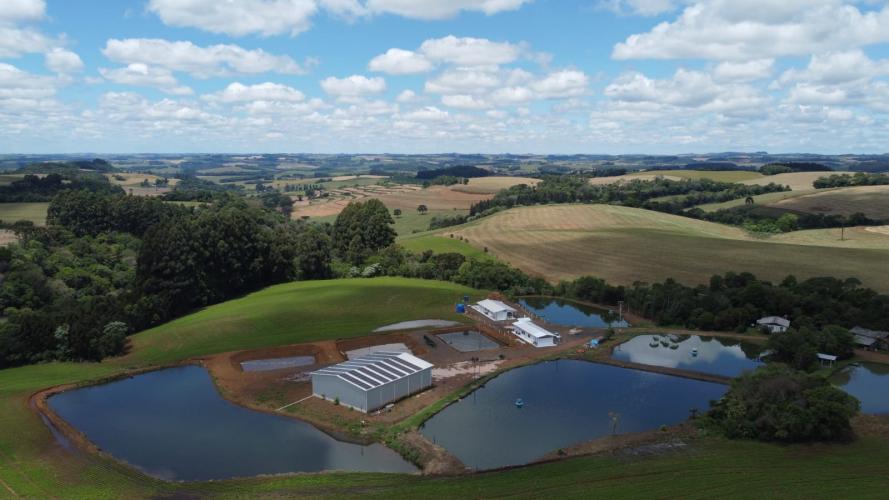 Com selo Susaf, frigorífico de Pato Branco vai expandir produção de pescados