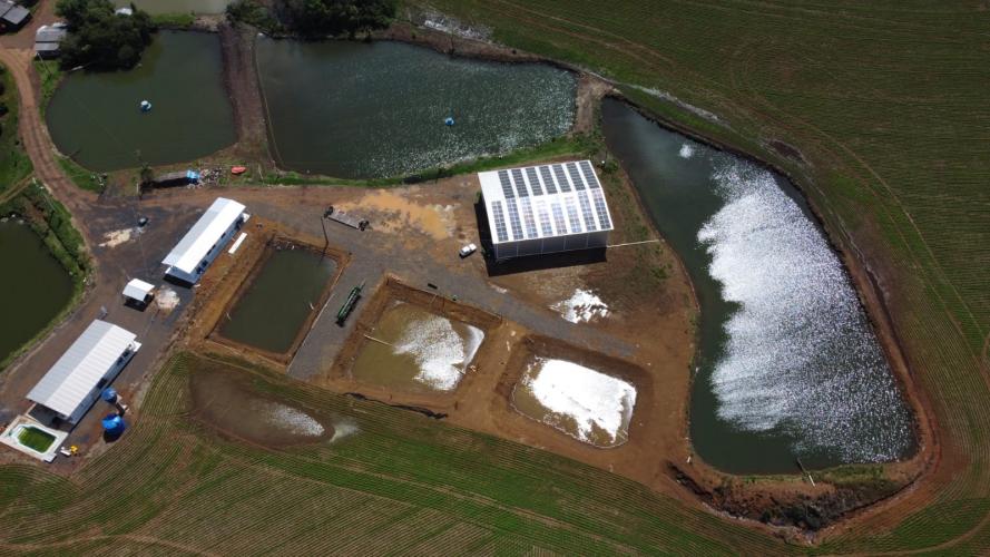 Com selo Susaf, frigorífico de Pato Branco vai expandir produção de pescados