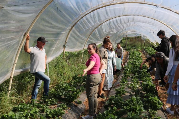 Casa da Agroecologia: mais de 3.500 pessoas passaram pelo projeto em 2024