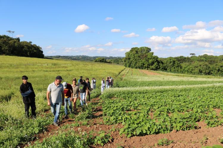 Casa da Agroecologia: mais de 3.500 pessoas passaram pelo projeto em 2024