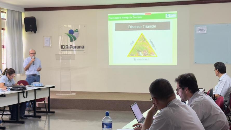 IDR-Paraná Promove Encontro Técnico para Combater Virose em Lavouras de Tomate