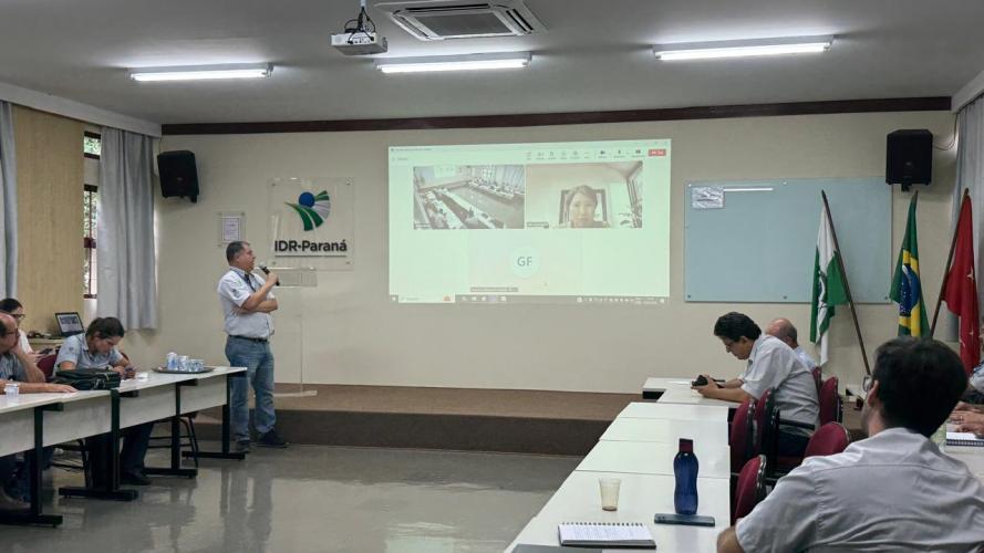 IDR-Paraná Promove Encontro Técnico para Combater Virose em Lavouras de Tomate