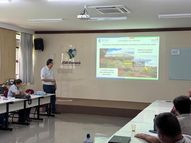 IDR-Paraná Promove Encontro Técnico para Combater Virose em Lavouras de Tomate