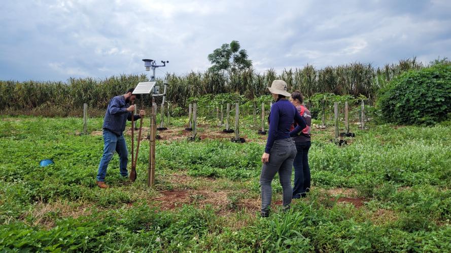 Protótipo de sistema de irrigação inteligente melhora o manejo de água